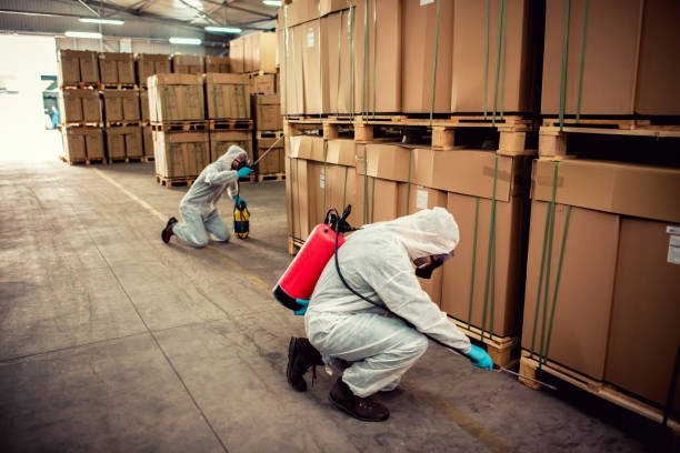 Best Affordable Pest Control Services  in Hanover, MN