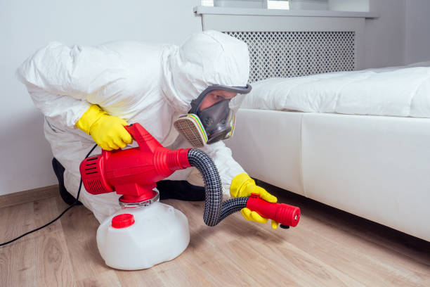 Best Affordable Pest Control Services  in Hanover, MN