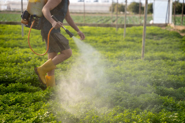 Best Local Pest Control Services  in Hanover, MN