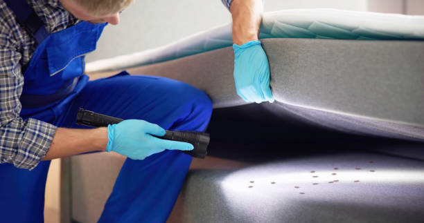 Best Commercial Pest Control Services  in Hanover, MN