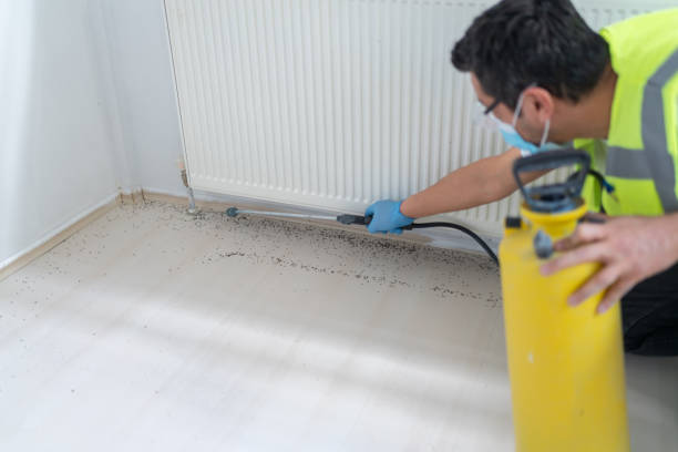 Best Emergency Pest Control  in Hanover, MN
