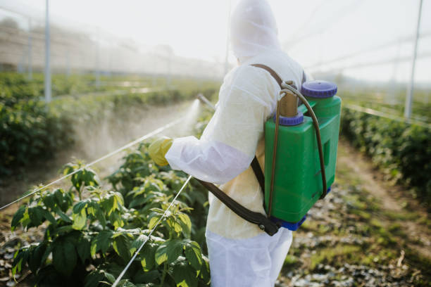 Best Residential Pest Control  in Hanover, MN